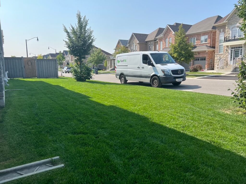 Clients lawn looking green and healthy