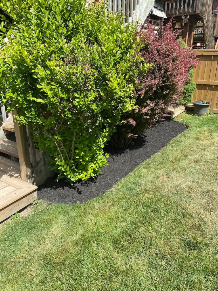 A new edge is created and mulch installed to give this garden a makeover