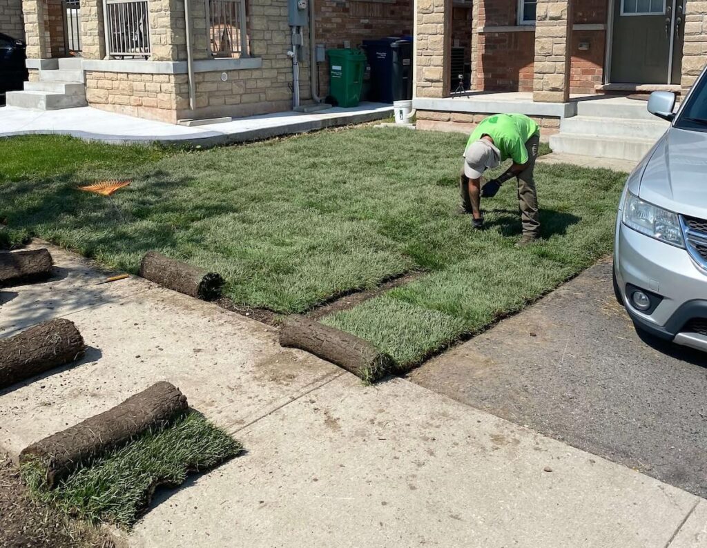 Our installation process guarantees your lawn to grow healthy 