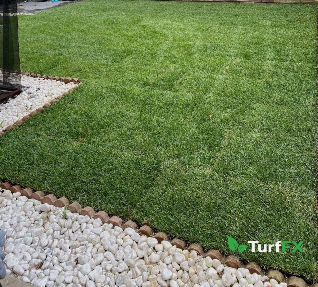 After care is very important to the success of creating a healthy lawn