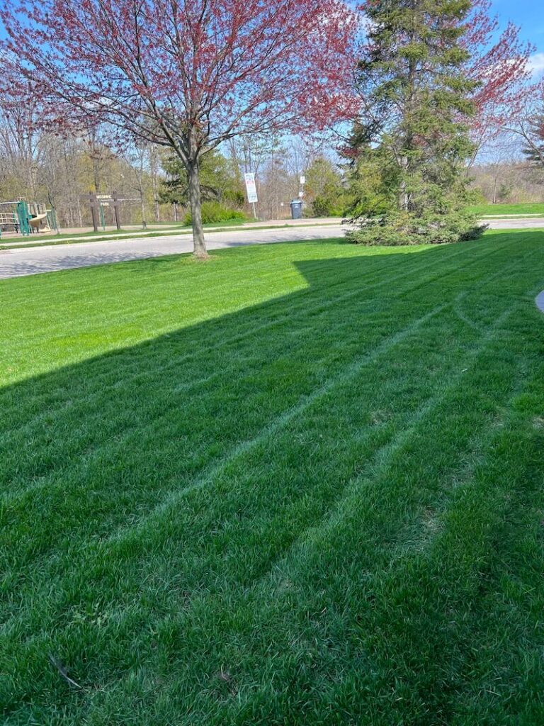 Lawn freshly cut with stripes