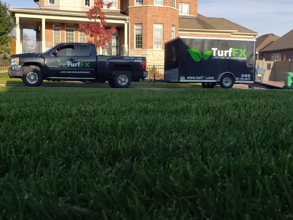 Turf FX is a top-rated local lawn care business.