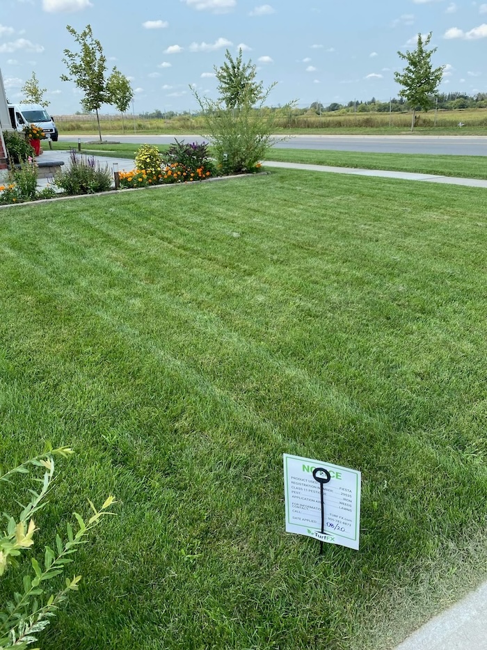 Multiple weed control visits keep your lawn green and weed-free